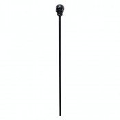 Тростина Череп чорний