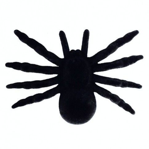 Павук чорний оксамит