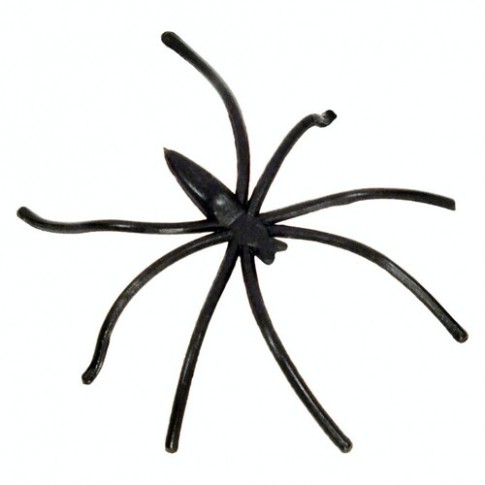 Павук з тонкими ніжками