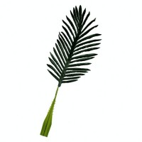 Лист пальми 55 см