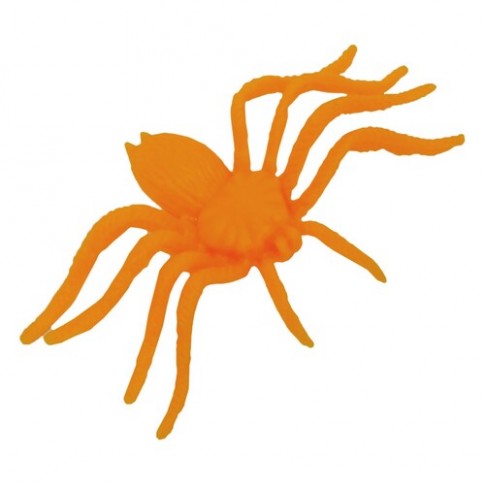 Павук оранжевий