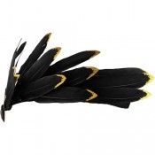 Тиара Феникс