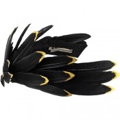 Тиара Феникс