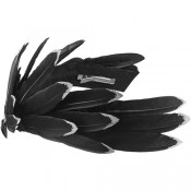 Тіара Фенікс