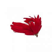 Тіара Фенікс