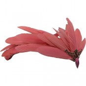 Тіара Фенікс