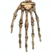 Брошь-заколка Жрец Вуду