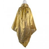 Плащ Королева Драконов