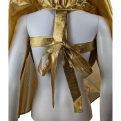 Плащ Королева Драконов