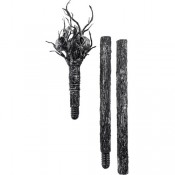 Тростина палиця Ворони