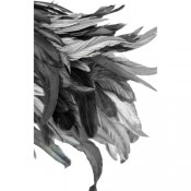 Наплічники пір'яні