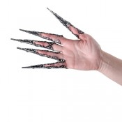 Когти в камнях Cristal, в наборе 5 шт