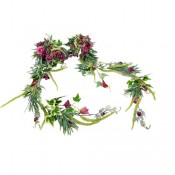 Тіара Квіткова фея