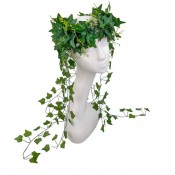 Тіара Ядовитий плющ